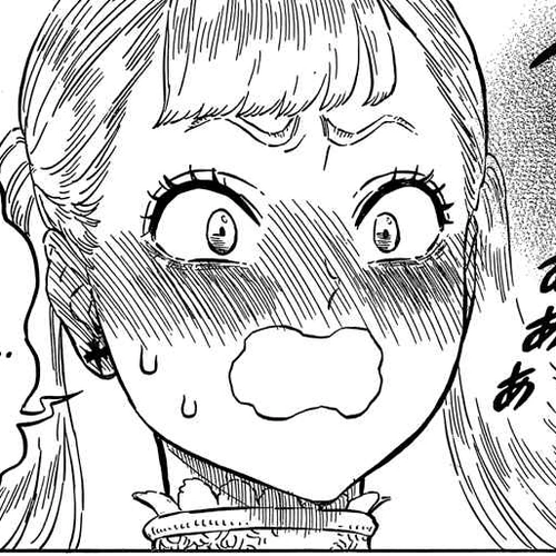 Black Clover Manga Chapter 103 (A Fun Festival Double Date) cover