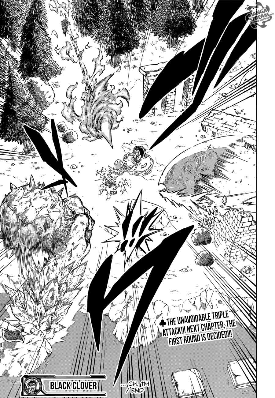 Black Clover Manga Chapter 114 page 17 - Flower of Resolution