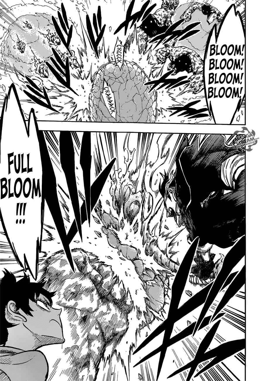 Black Clover Manga Chapter 116 page 14 - Coral Peacock's Vice-Captain