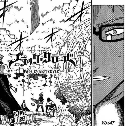 Black Clover Manga Chapter 17 (Destroyer) cover