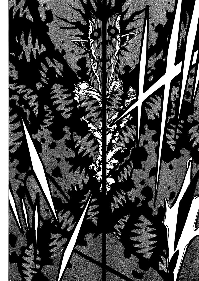 Black Clover Manga Chapter 211 page 14 - The Final Attack