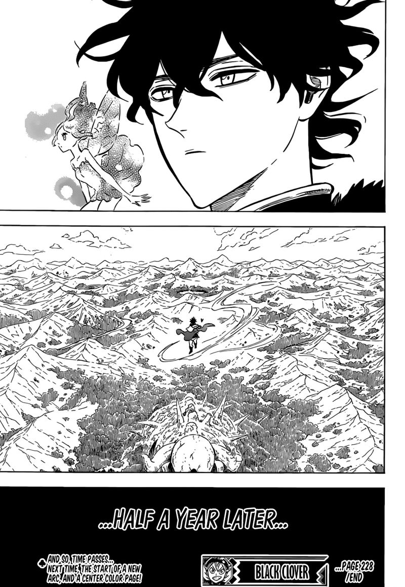 Black Clover Manga Chapter 228 page 15 - Arcane Stage Mages