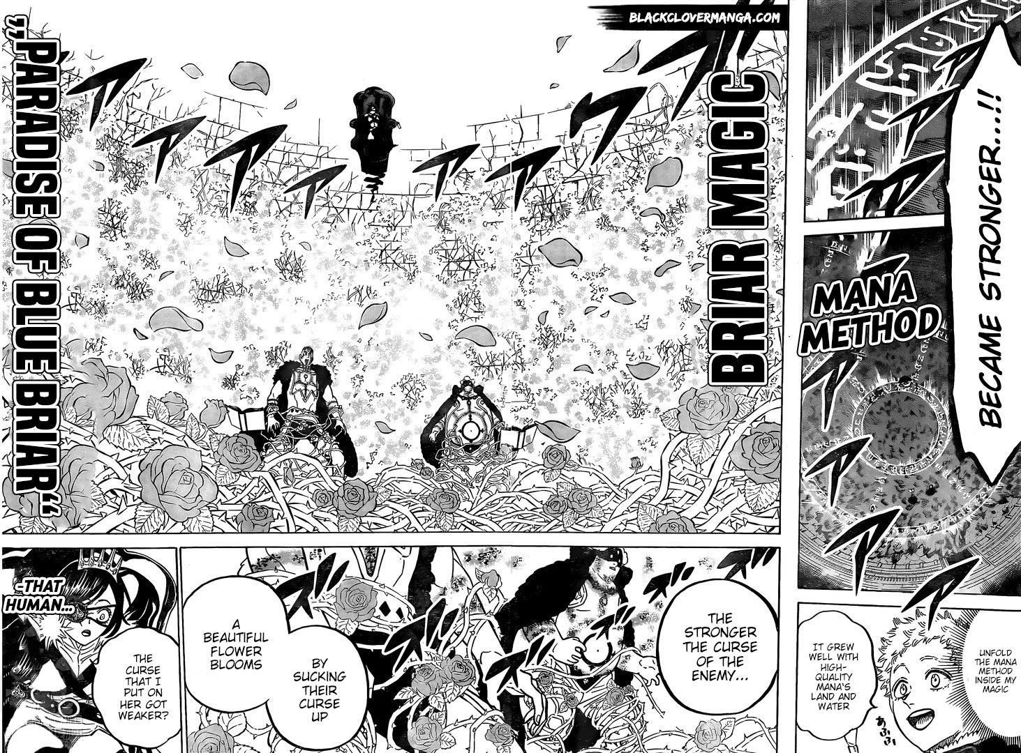 Black Clover Manga Chapter 277 page 10 - Queen of Briars