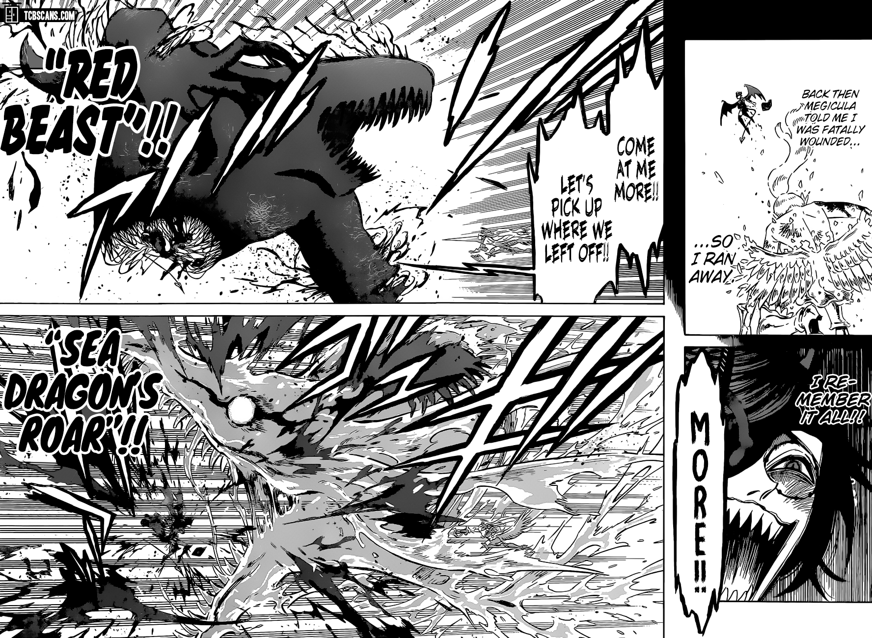 Black Clover Manga Chapter 296 page 11 - The Sacred Valkyrie