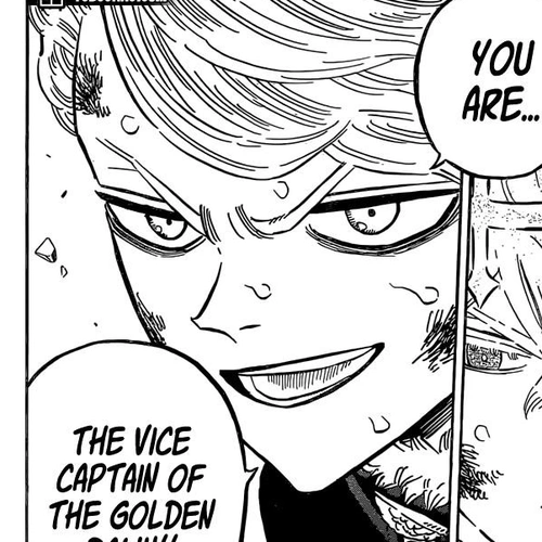 Black Clover Manga Chapter 305 (The Vice-Captain of the Golden Dawn) cover